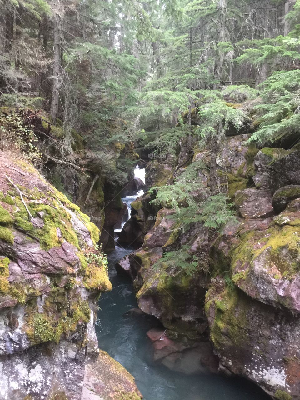 Glacier national park, Montana 