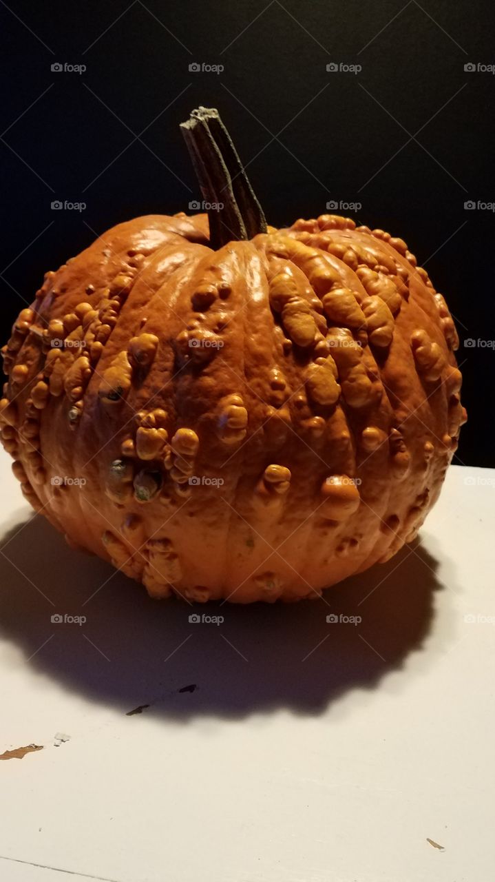 Warty Pumpkin