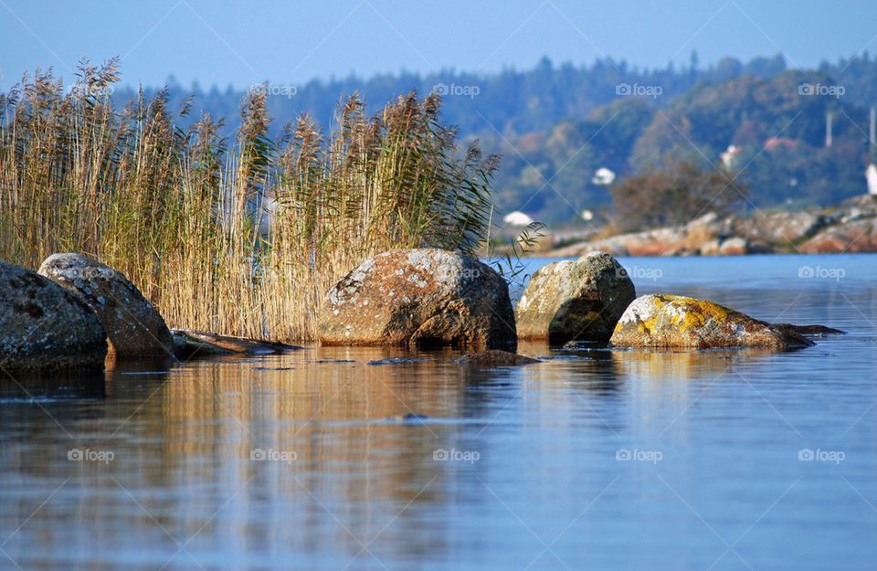 Rocks in still water