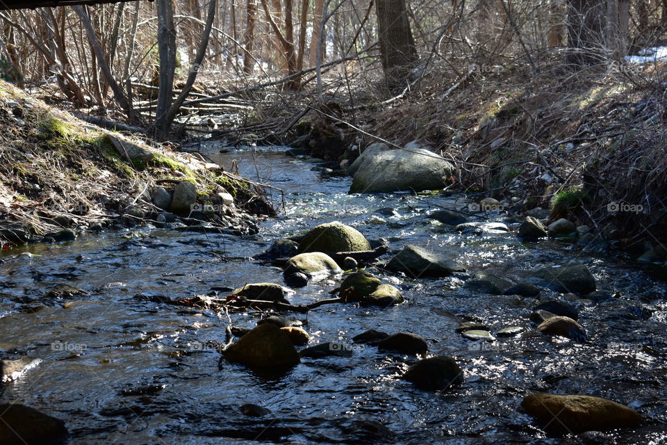 stream