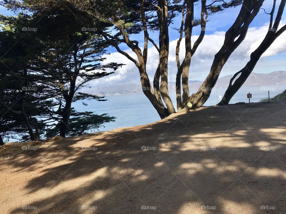 San Francisco trails 