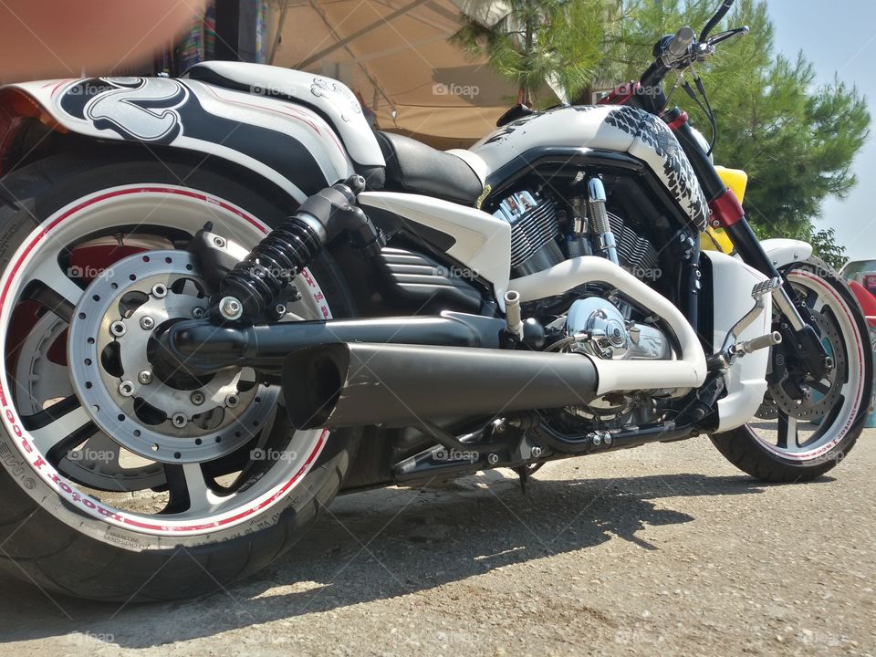 White Harley Davidson bike. Psakoudia, Road House beach bar, Greece