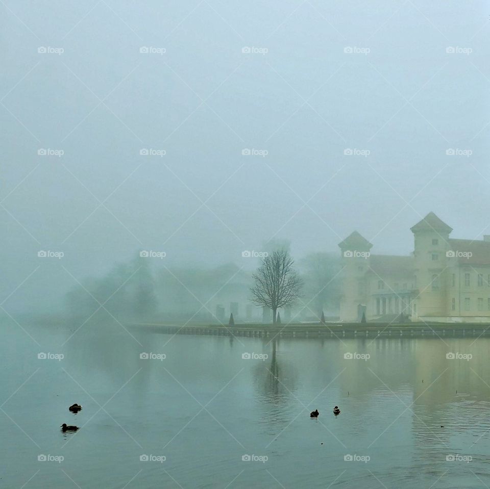 Nebel am Schloss Rheinsberg, im Vordergrund der Grinericksee