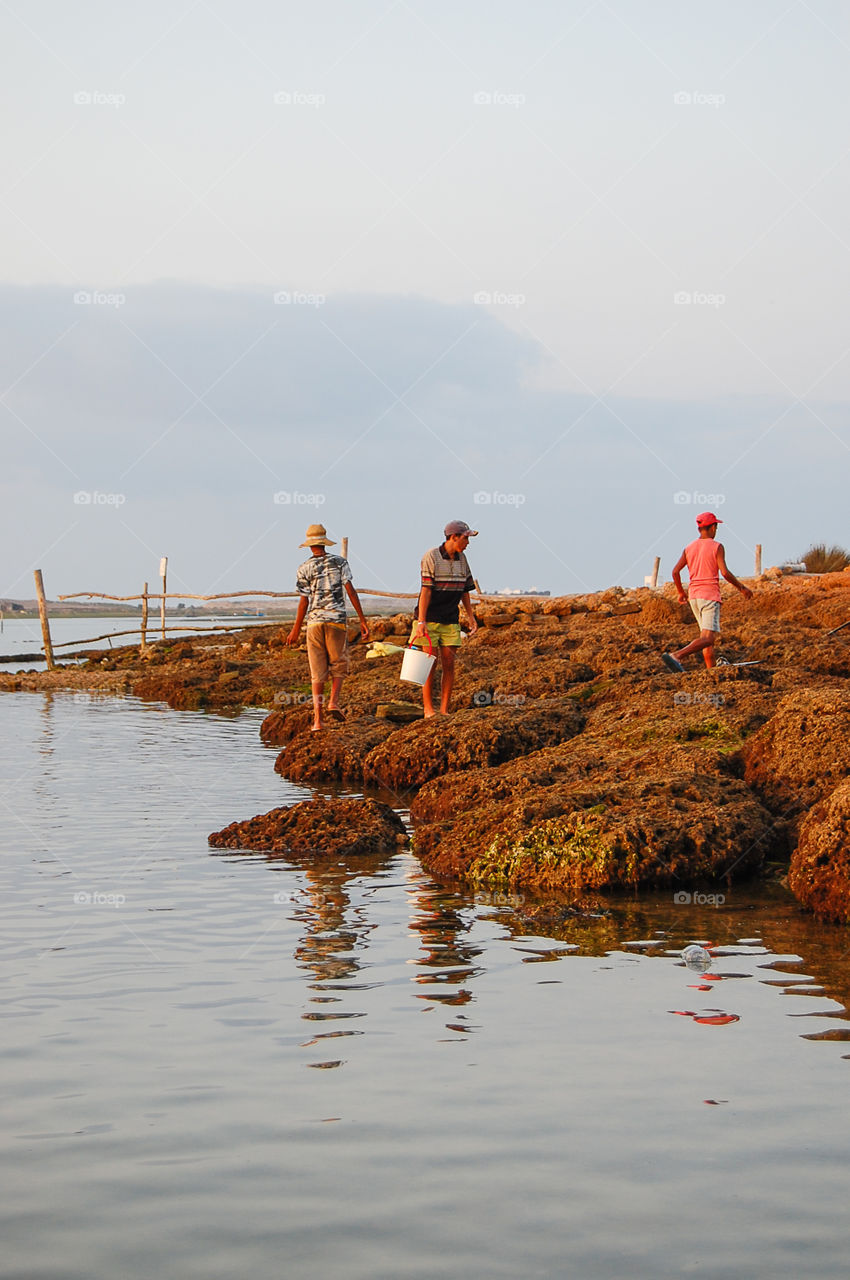 Oyster culture in Oualidia . workers on Oualidia lagoon