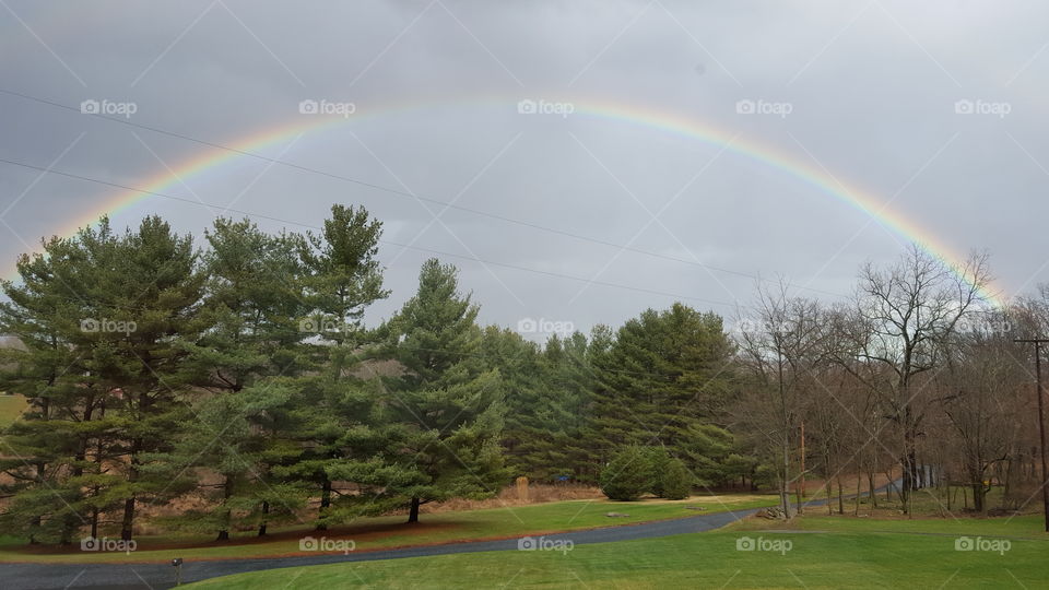 Rainbow
