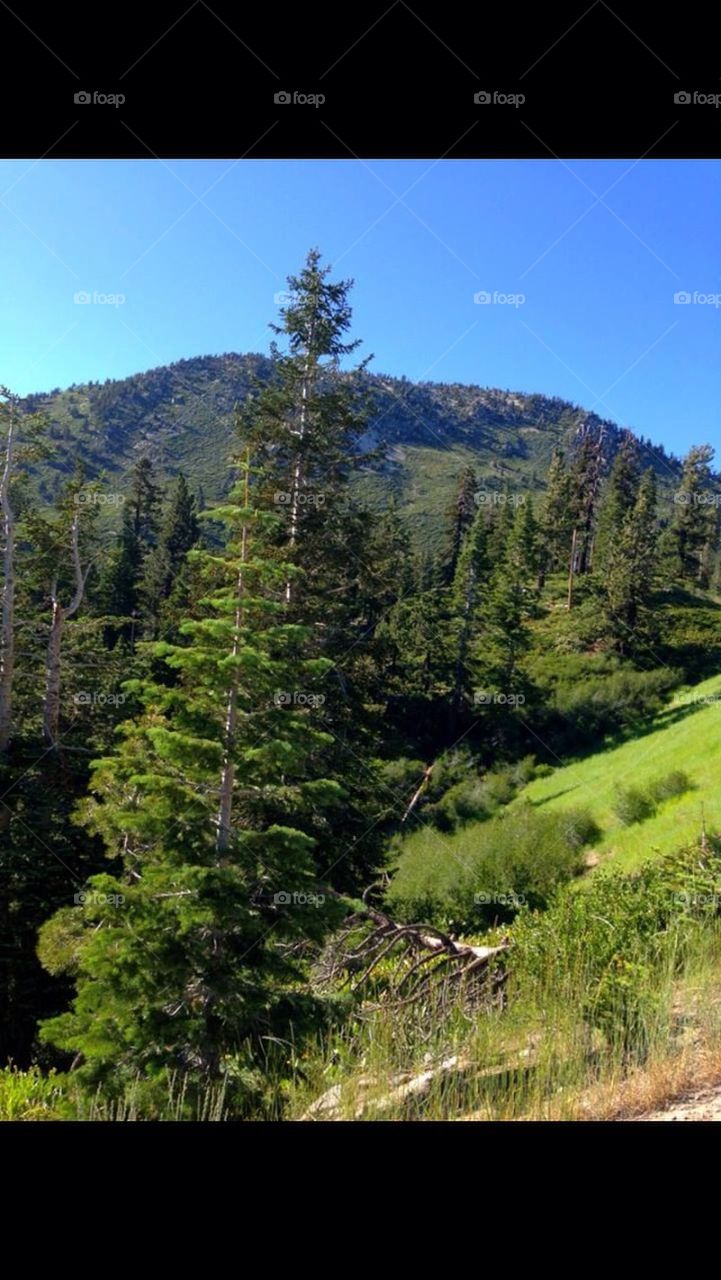 sky summer fresh air mountainside by gingersleetsnow