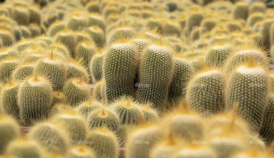 Natural always make beautiful shot