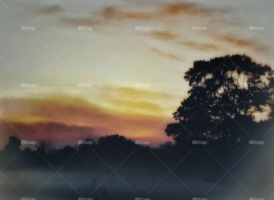 fog rolls in at sunset on country field