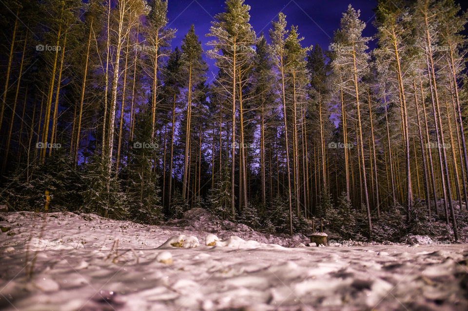 Crisp and blue night