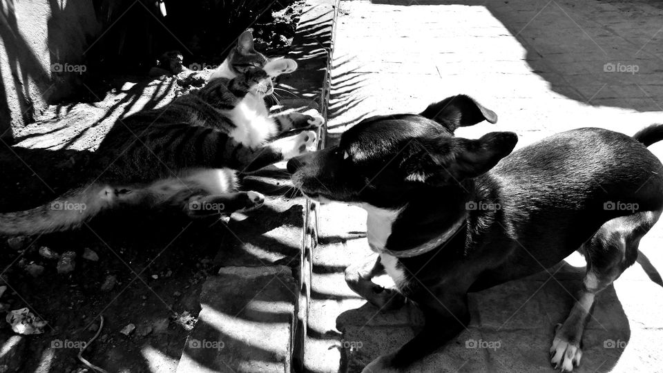 Oli y Lupe  // Nikon D3500