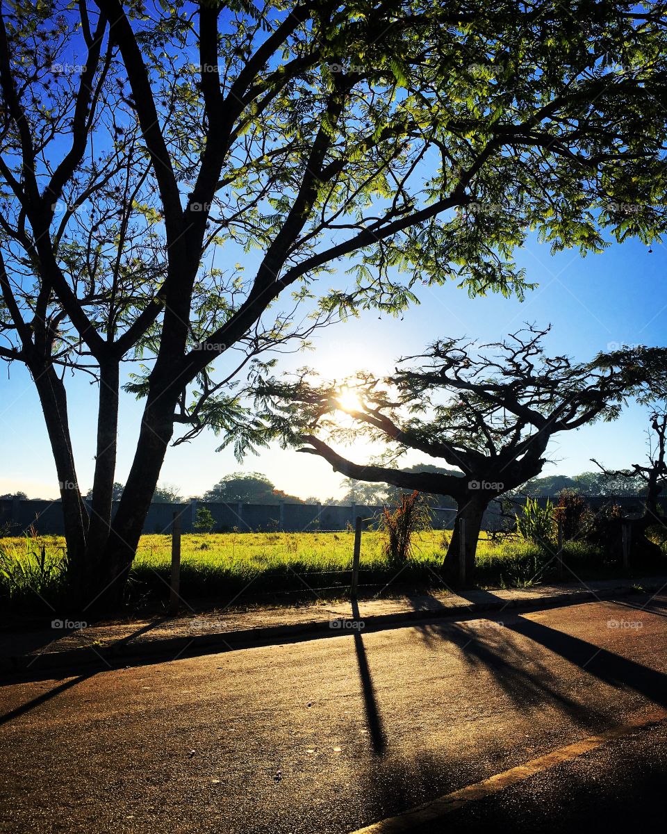 ☀️#Sol muito bonito de #natureza indescritível!
Como não se inspirar?
🌱
#inspiração 
#amanhecer 
#morning
#fotografia
#paisagem