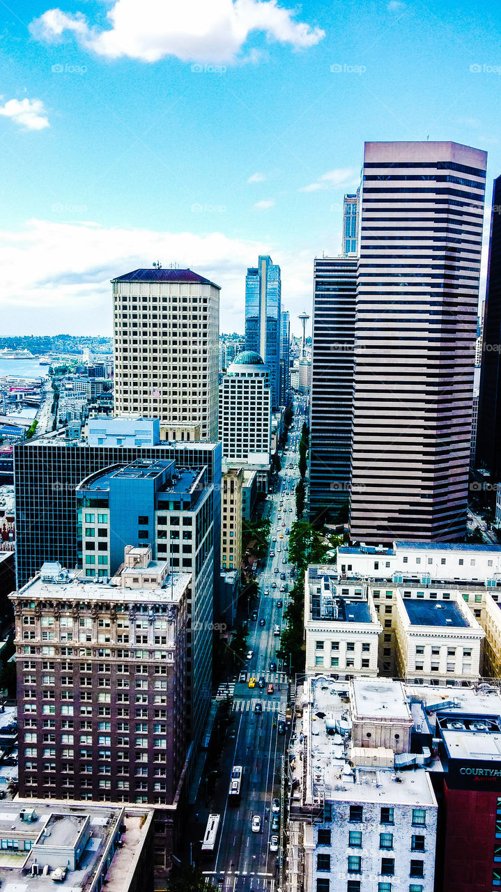 Seattle City View