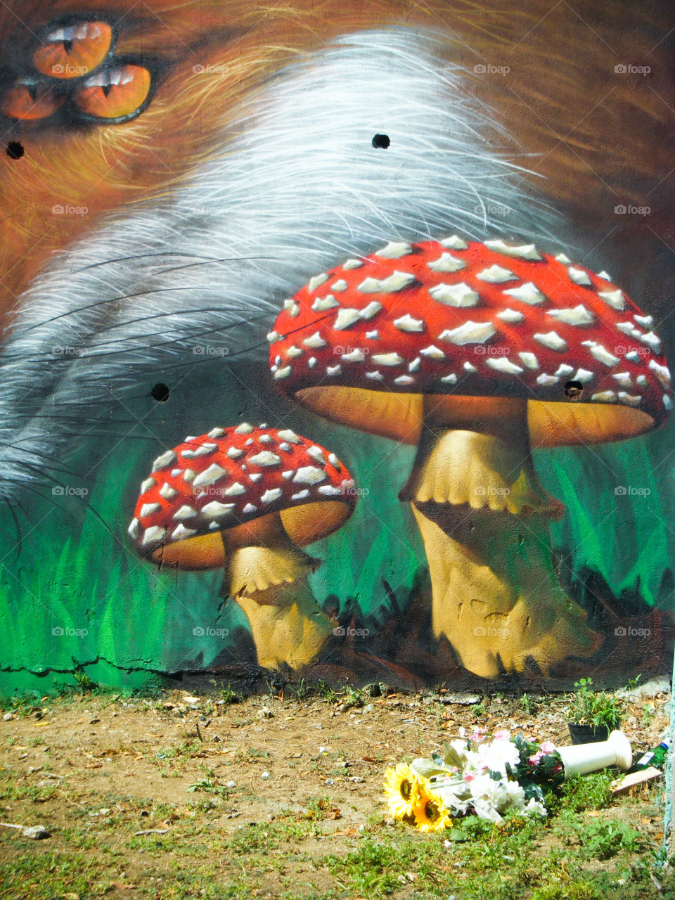 realistic mushrooms