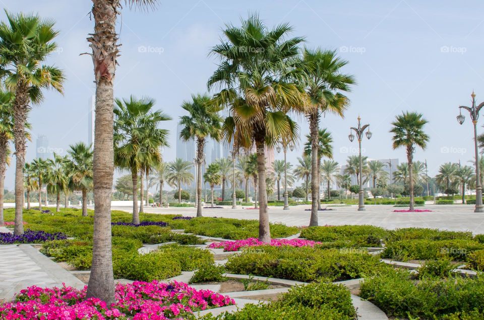 Urban Nature Plants, Abu Dhabi