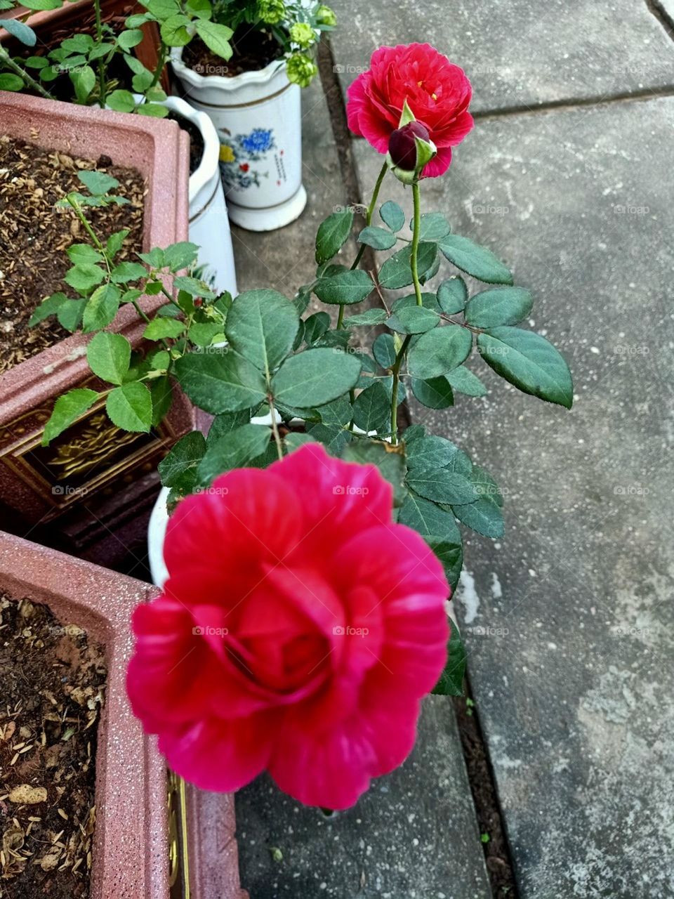 Mỗi em một Hướng.