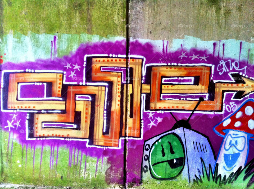 street graffiti wall art by perfexeon