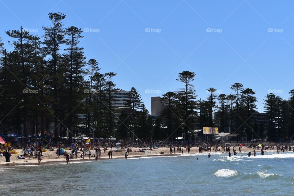 Manly Beach  Sydney