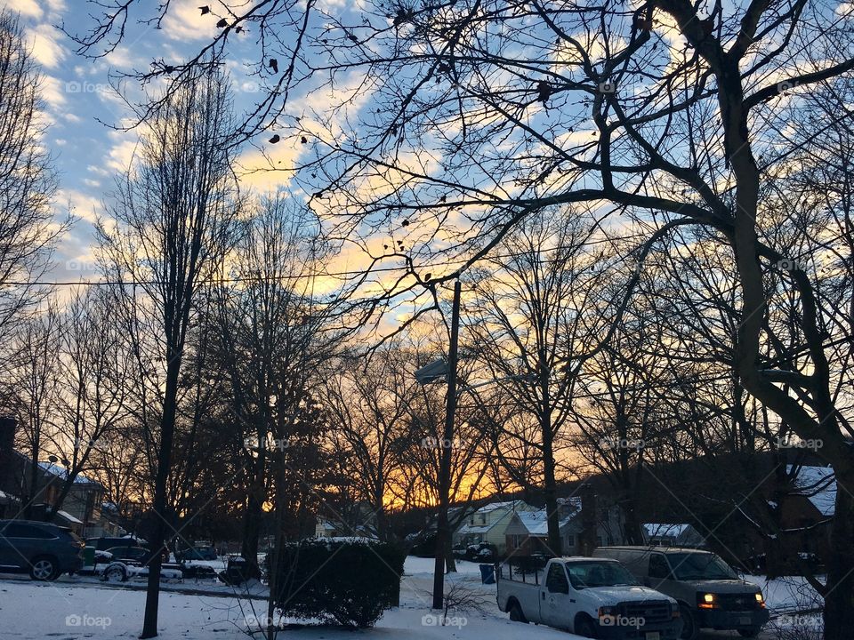 Sunset Behind The Branches 