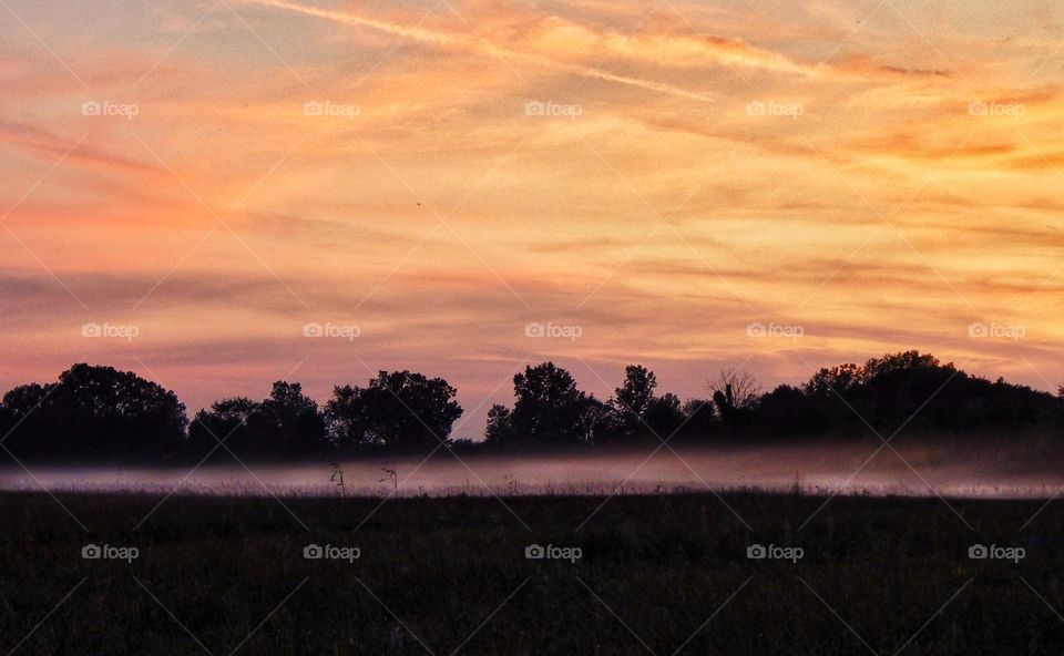 mysterious mist at sunset against forest silhouette