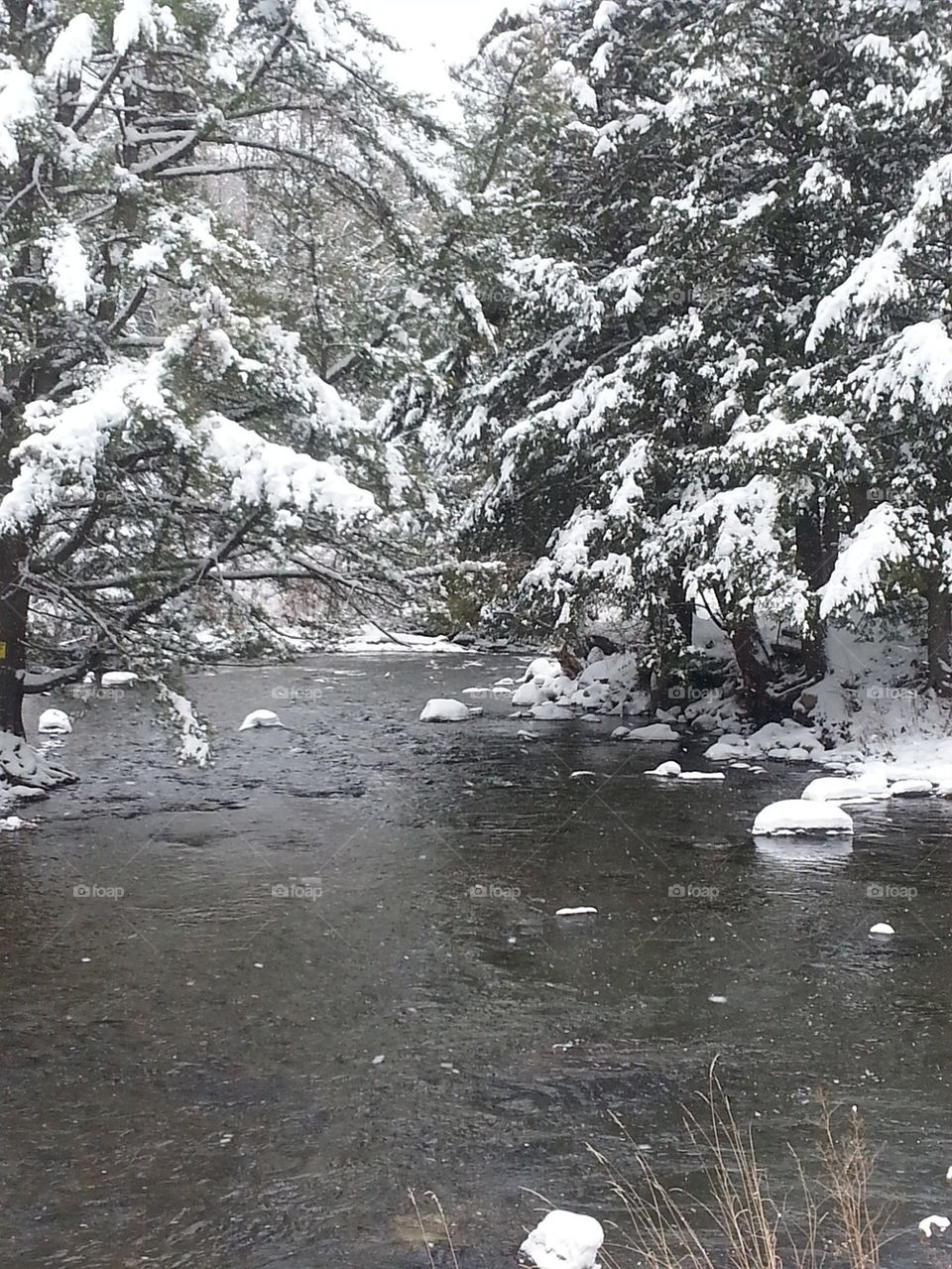 Snowy Brook