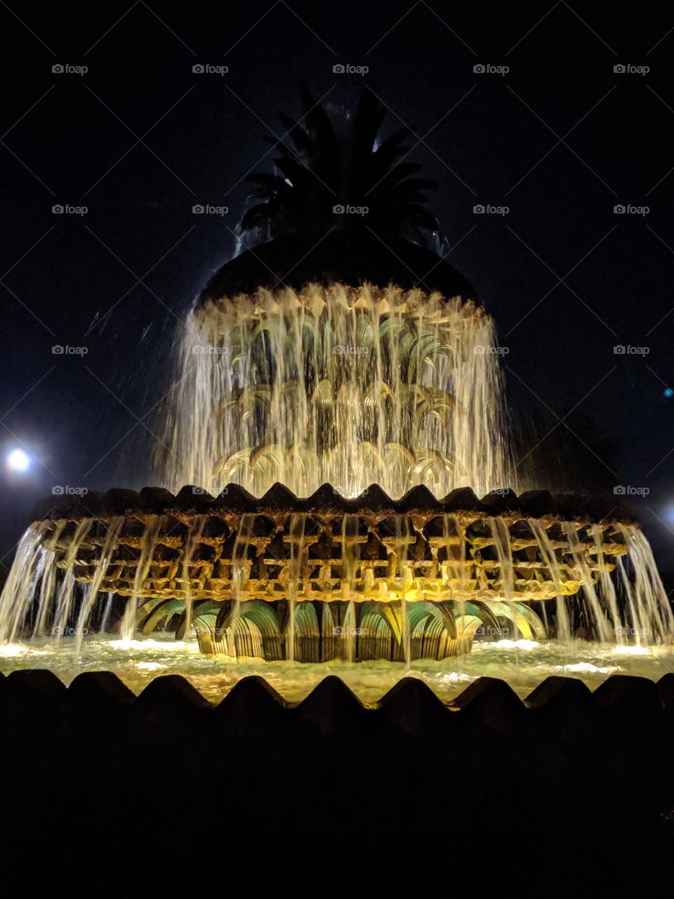 Waterfront Park fountain at night