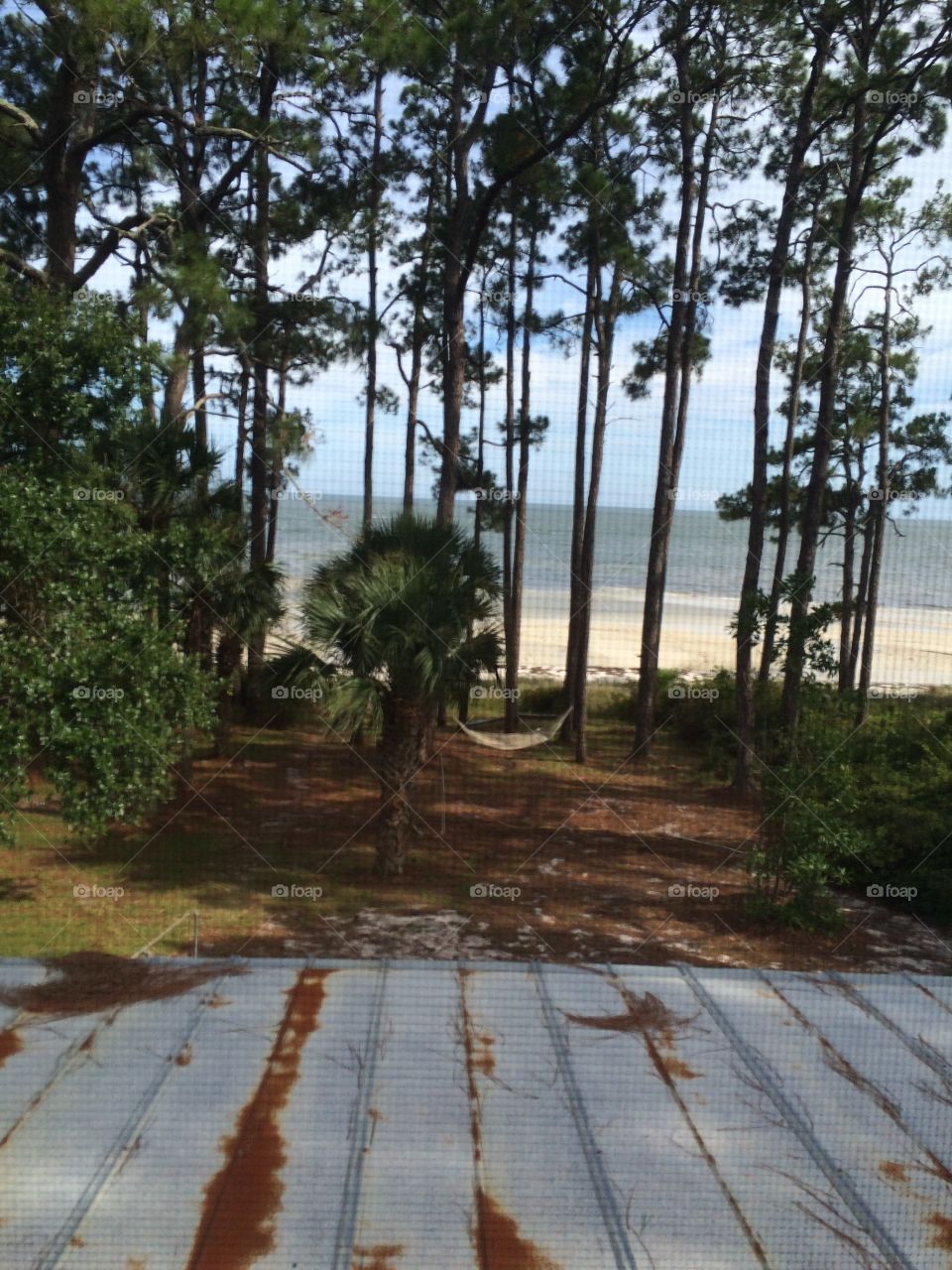 Beach view from rental house in Florida 
