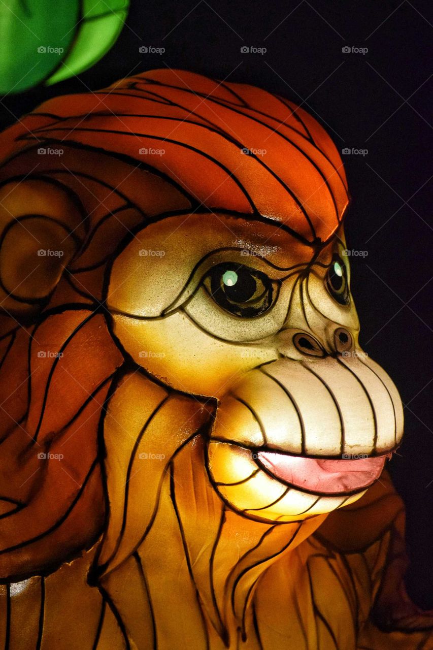 Monkey Lantern