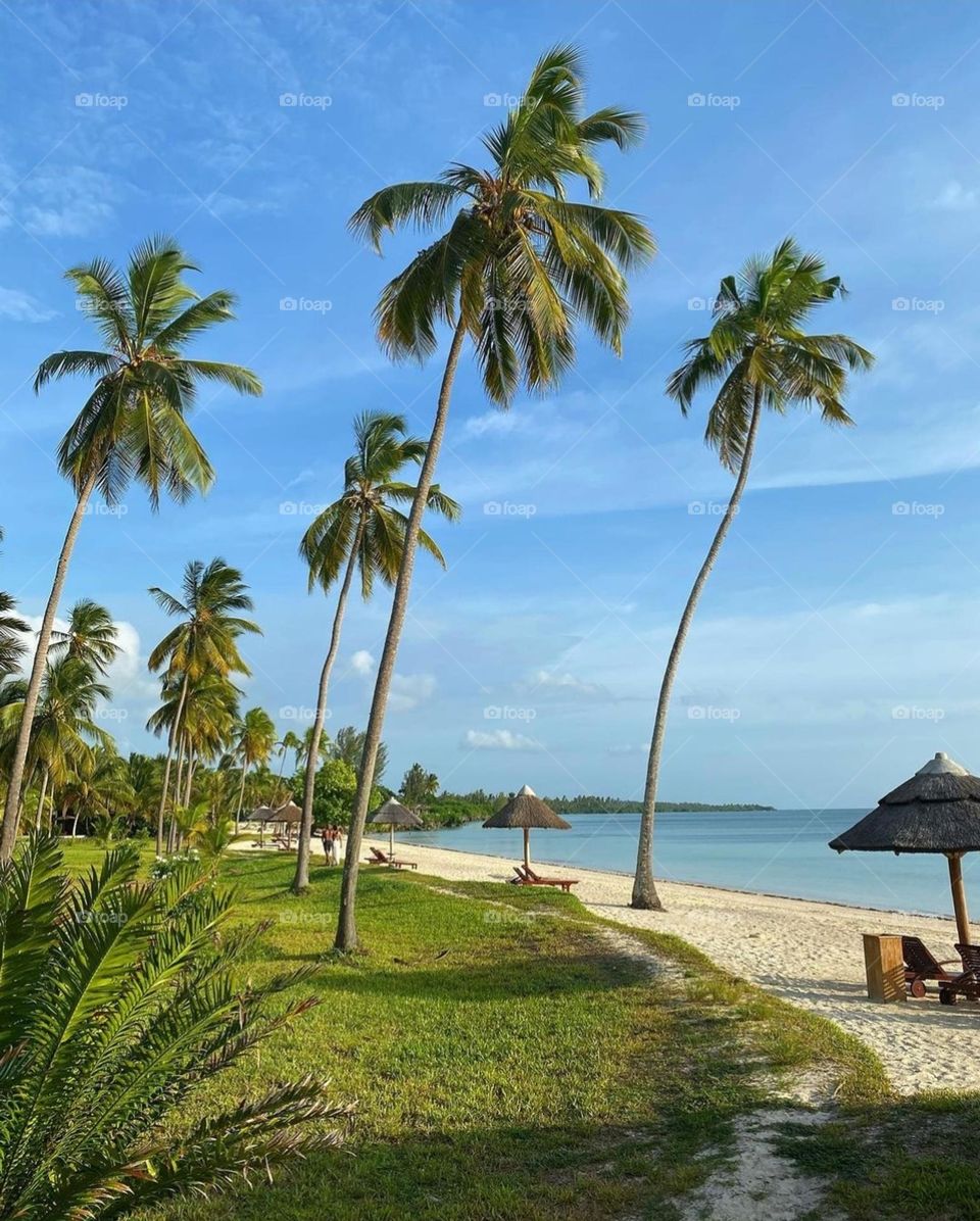 Nature is beautiful and requires no filter.