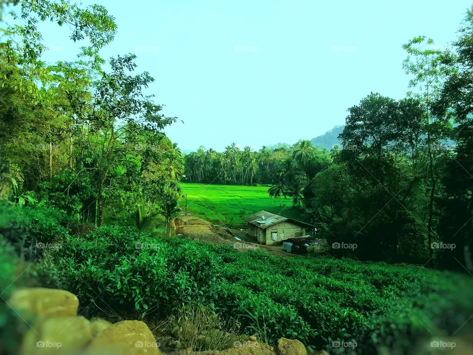 Village 🌺