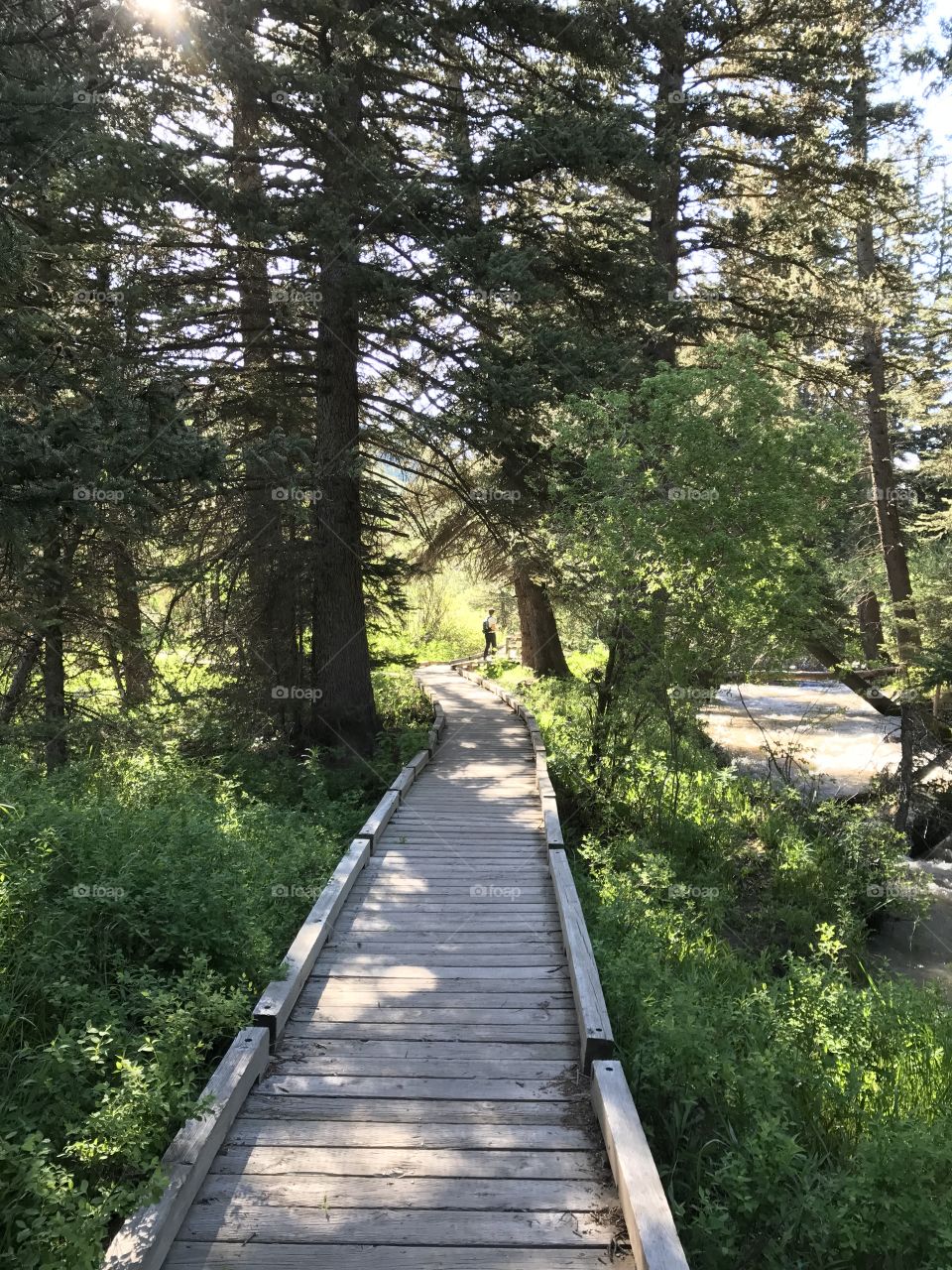 Cache trail, Jackson Hole, WY