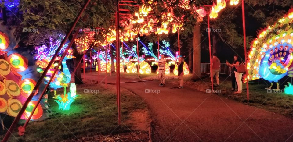 ILLUMINATION of Lights