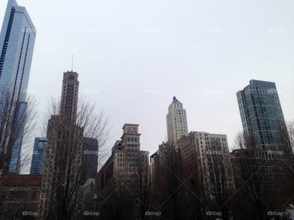 winter sky trees buildings by mengzishiliu