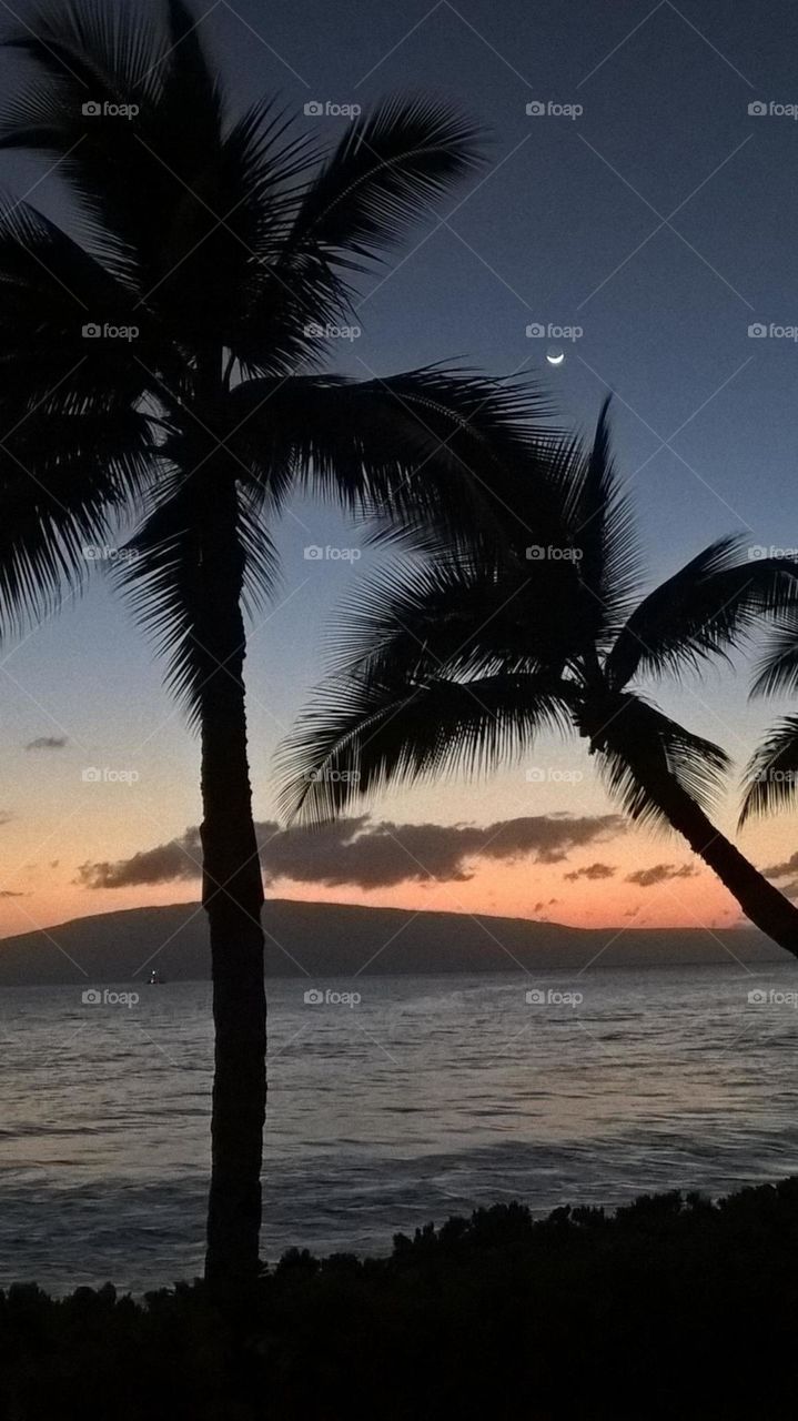 Sunset in Maui 