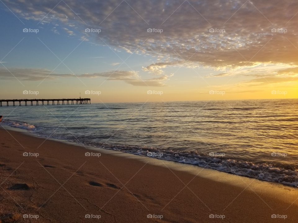 sharky's peir venice,  FL
