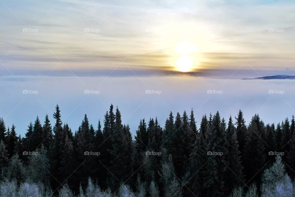 No Person, Outdoors, Nature, Snow, Wood