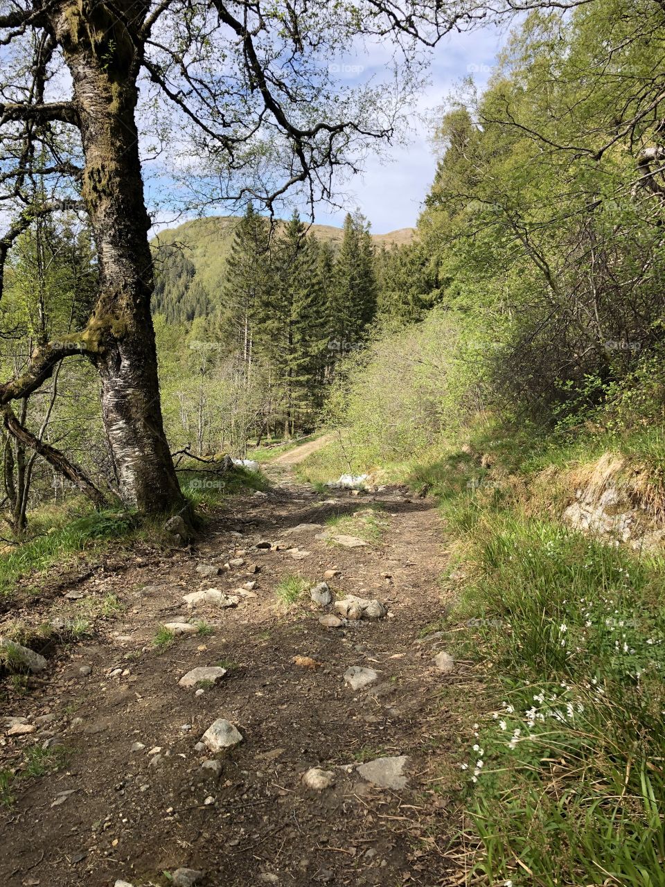 Spring in Arna, Norway