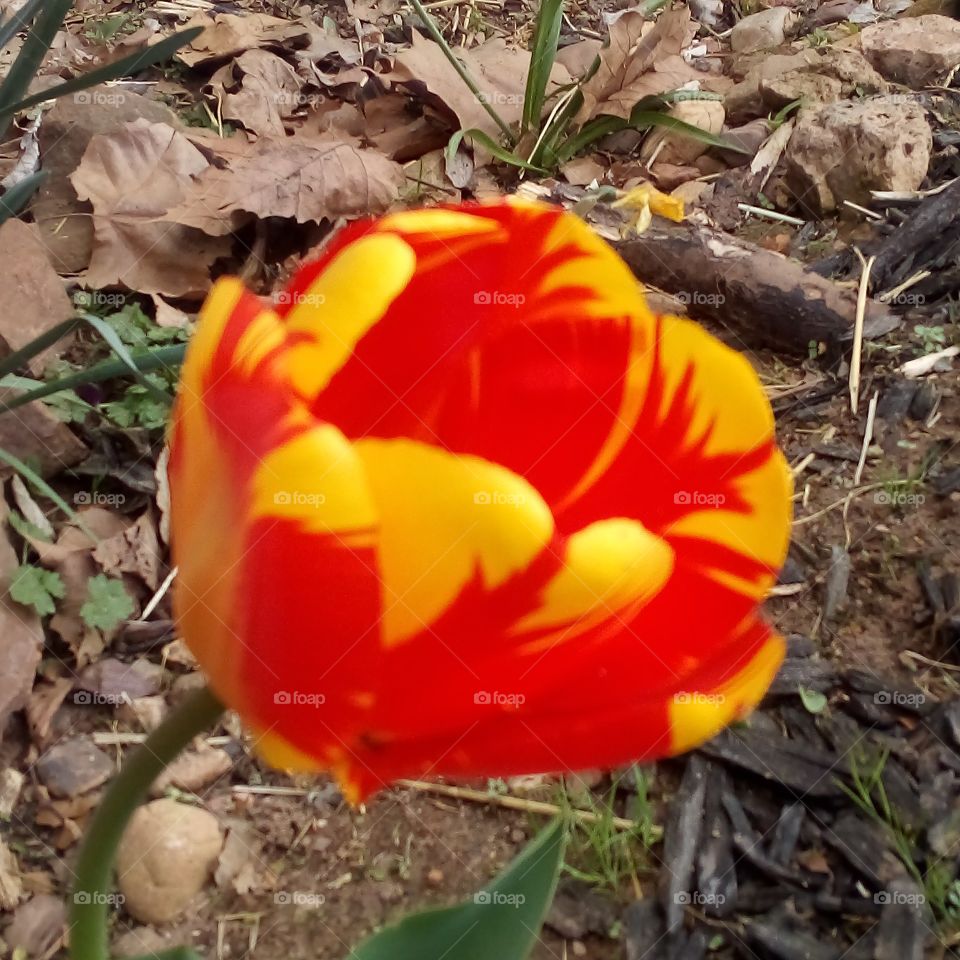 there may be darkness all around us but God is the light lift your eyes upon him.