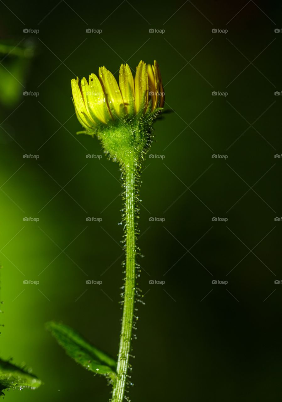 beautiful you inside out