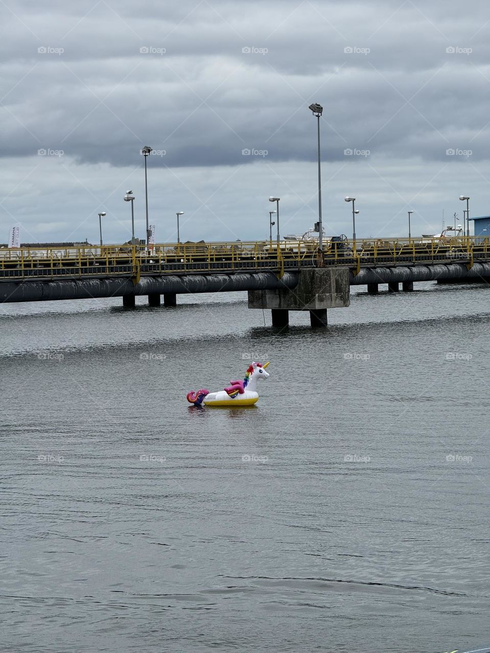 Inflatable unicorn floats alone in the sea in urban area