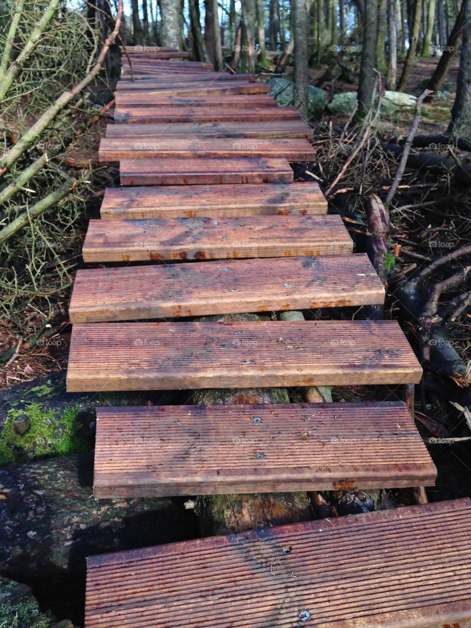 Mountain bike obstacle outdoor. Wooden ramp for mountain biking in the woods