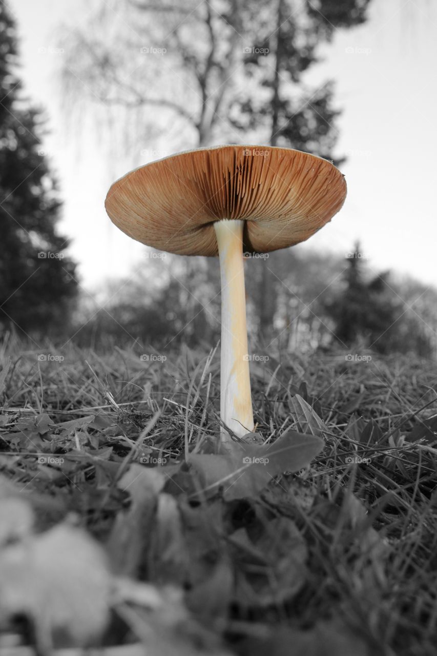 alone in a big world 