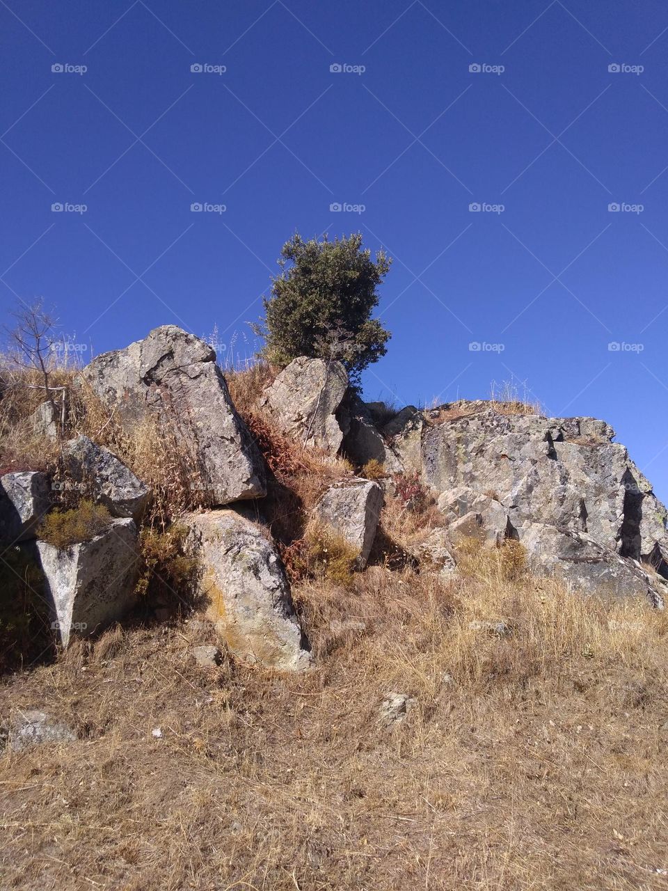 Best of 2021: Nature