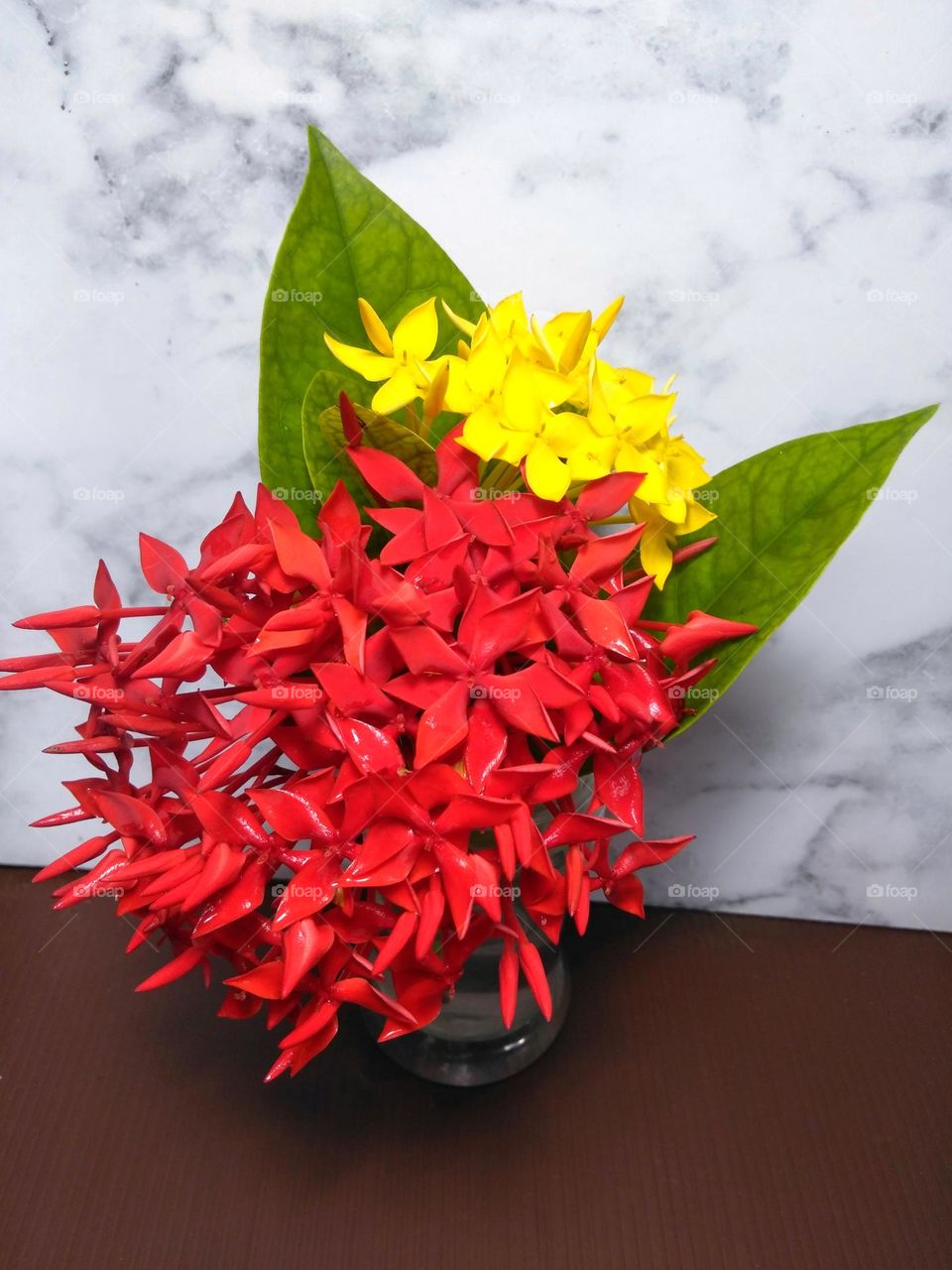 Red and yellow flowers on vase