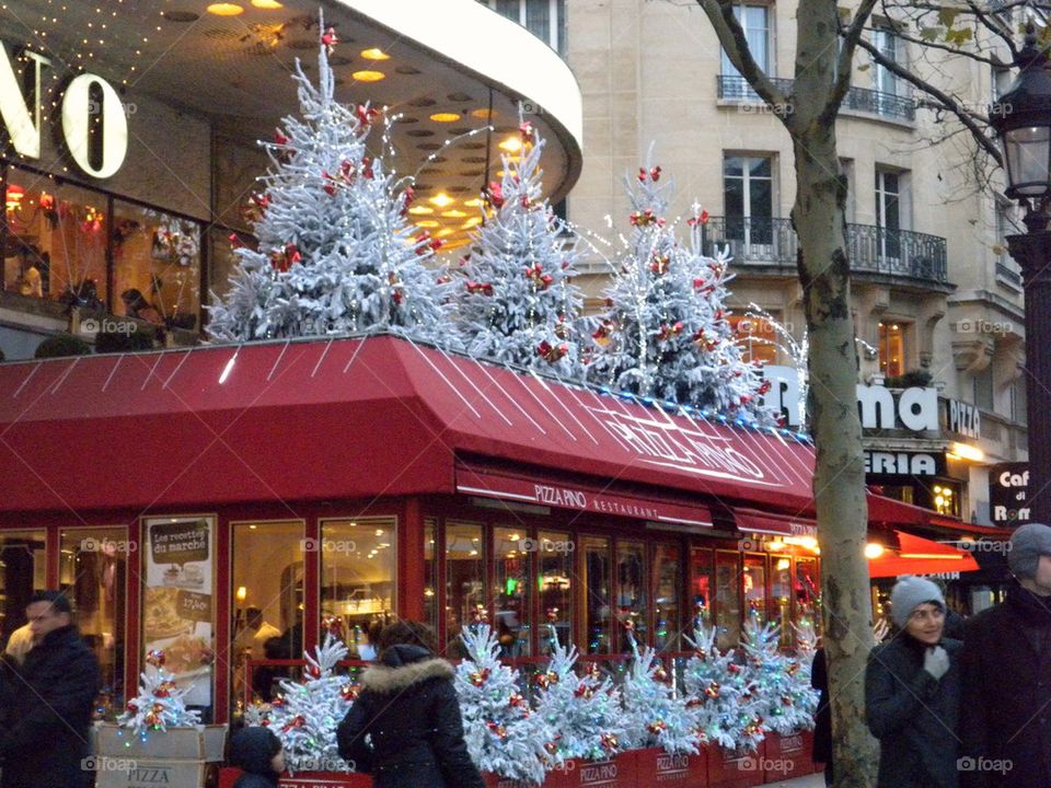 Christmas in Paris 