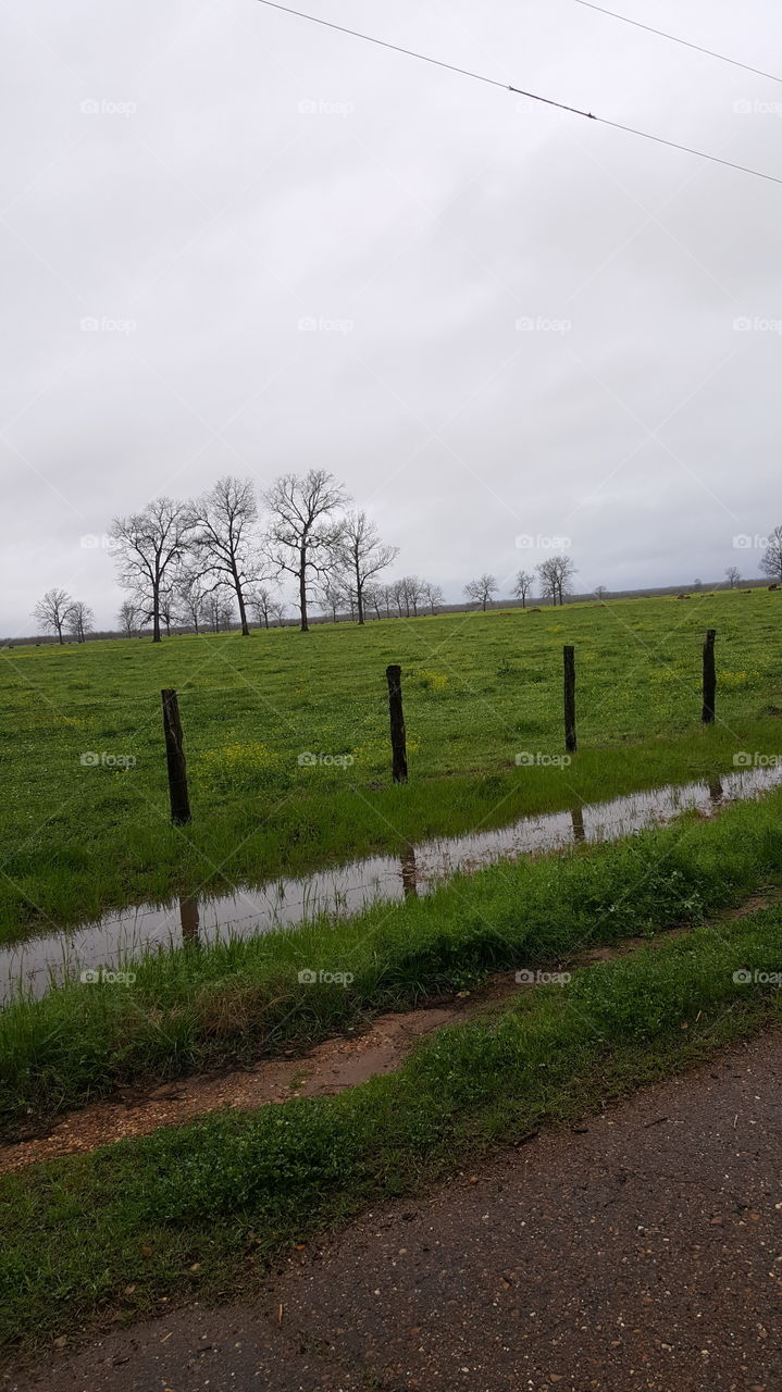 laying grass Marsh Phil environment weather sky