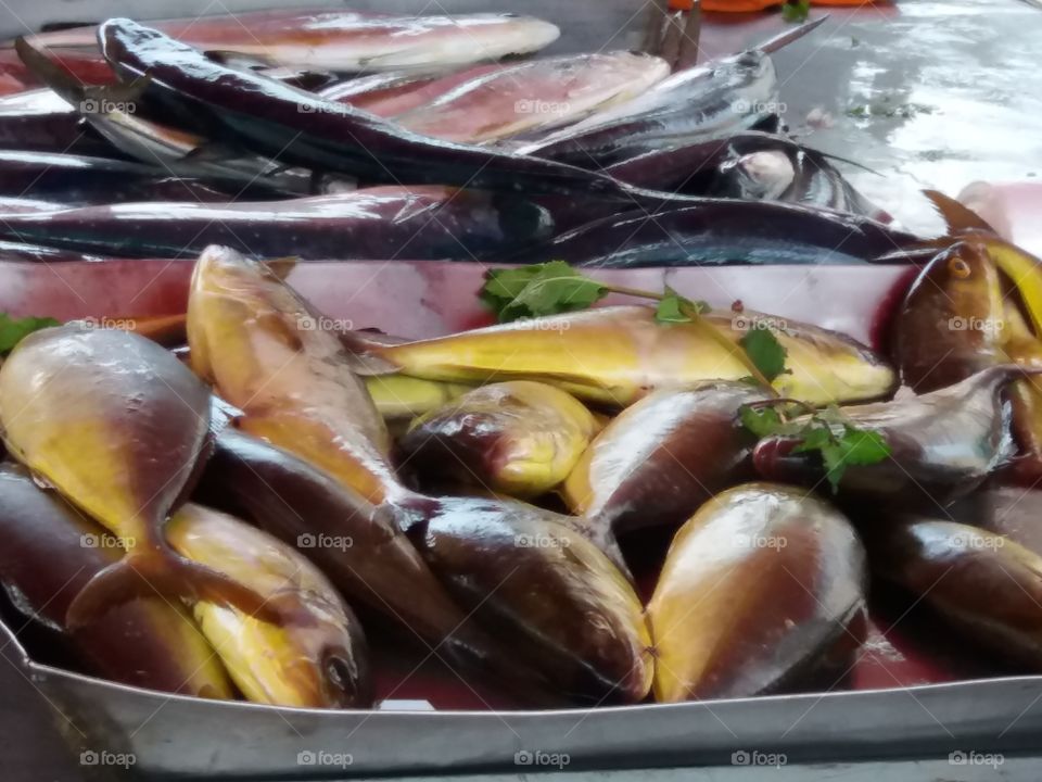 Maltese Fish Market