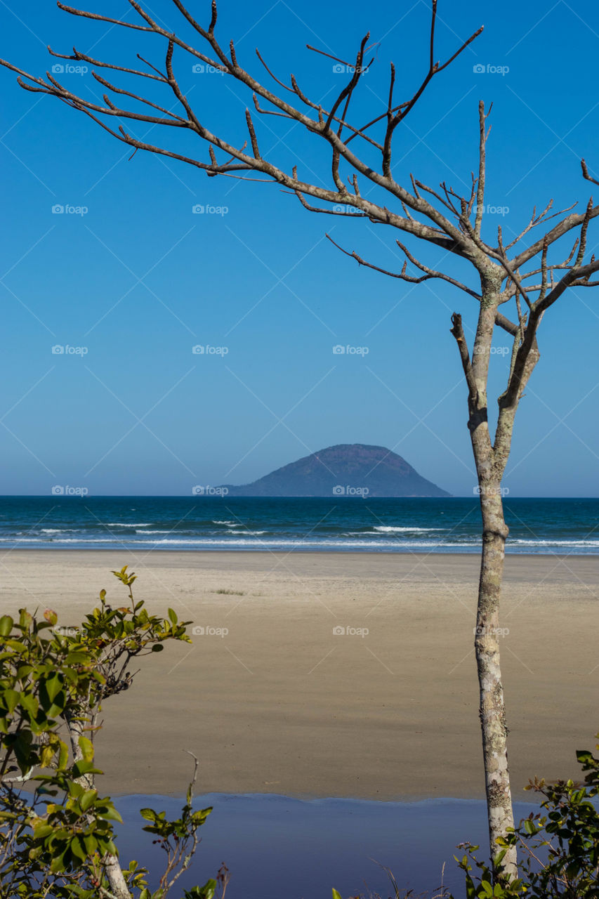 Visita a praia de Boracéia no litoral norte de São Paulo com a vista da ilha do Montão de trigo.
