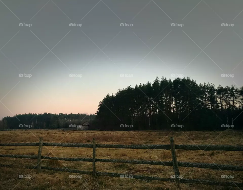farm