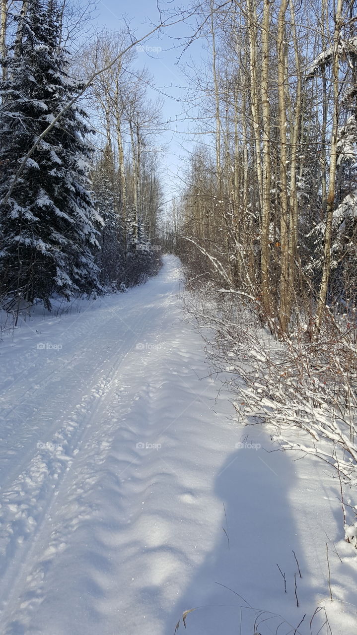 Winter Wonderland 2, La Ronge Saskatchewan