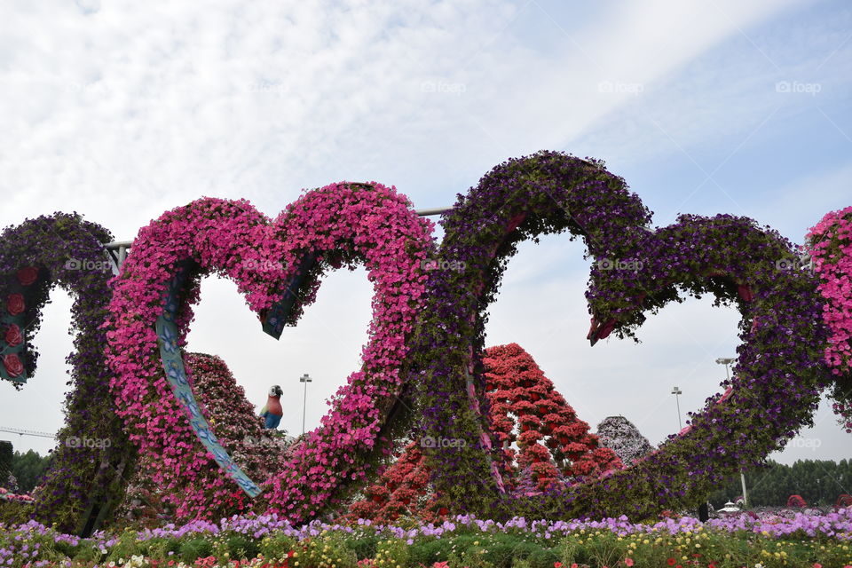 Heart With Flowers In Dubai Miracle Garden 